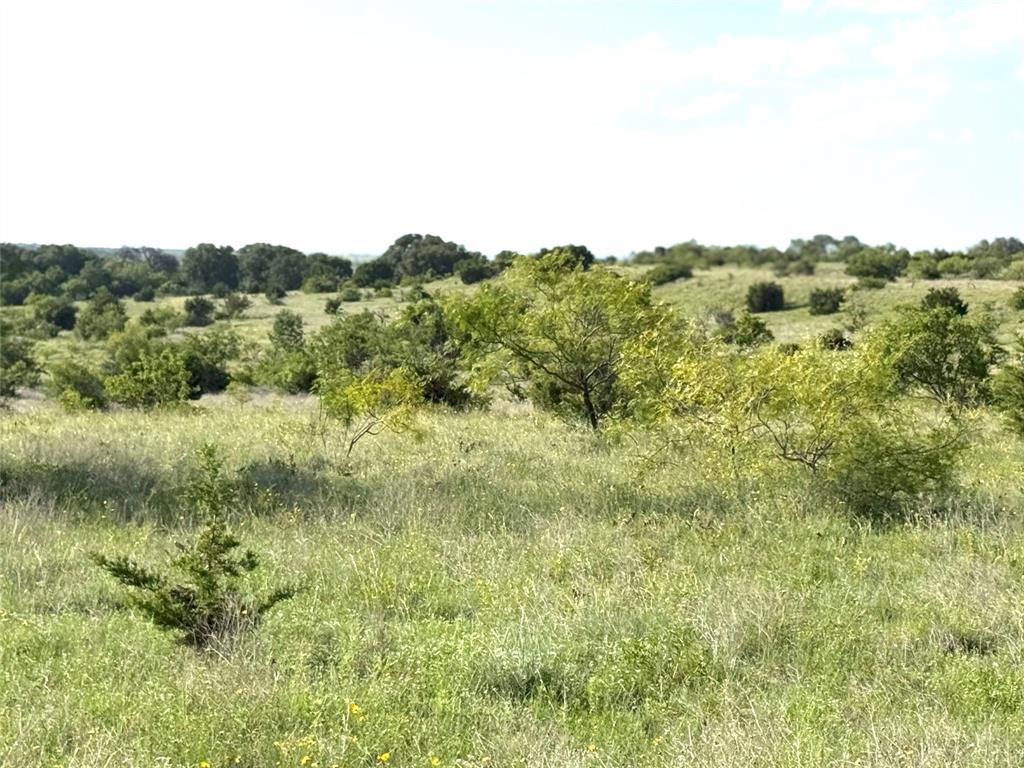 620 Hamilton Tx 76531 Hamilton, TX 76531 - Photo 6 of 8 a view of a green field with lots of bushes