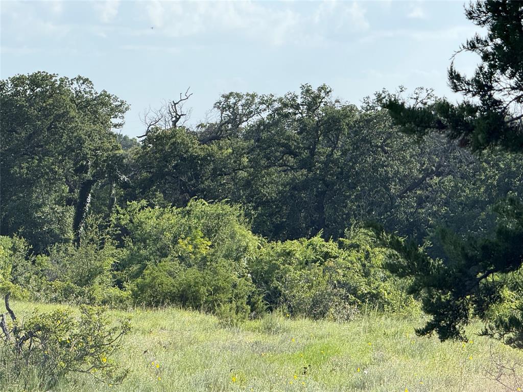 620 Hamilton Tx 76531 Hamilton, TX 76531 - Photo 8 of 8