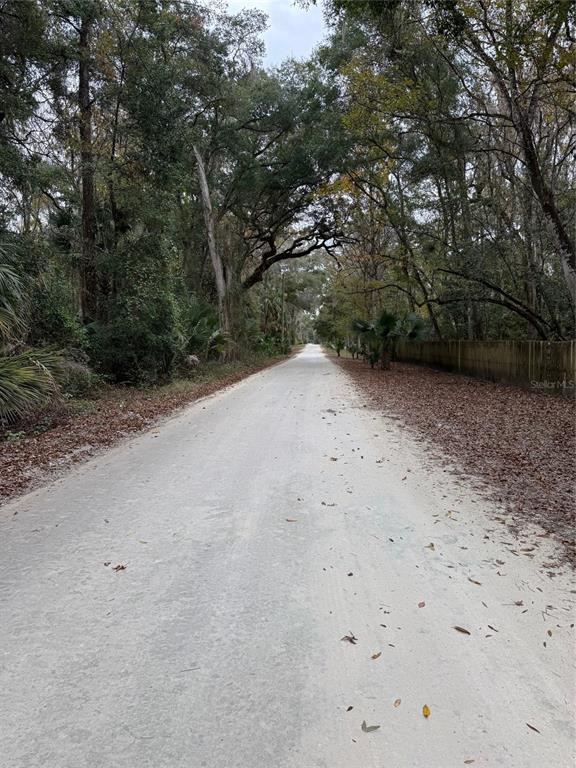 142 Northeast Ne Place Anthony, FL 32617 - Photo 4 of 7 a view of a dirt road with trees in the background