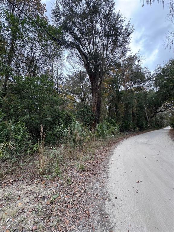 142 Northeast Ne Place Anthony, FL 32617 - Photo 5 of 7 a view of a forest with trees in the background