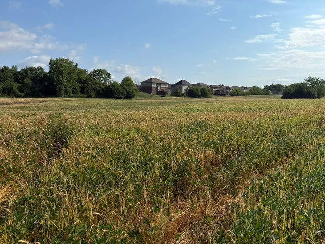 a view of a lake from a yard