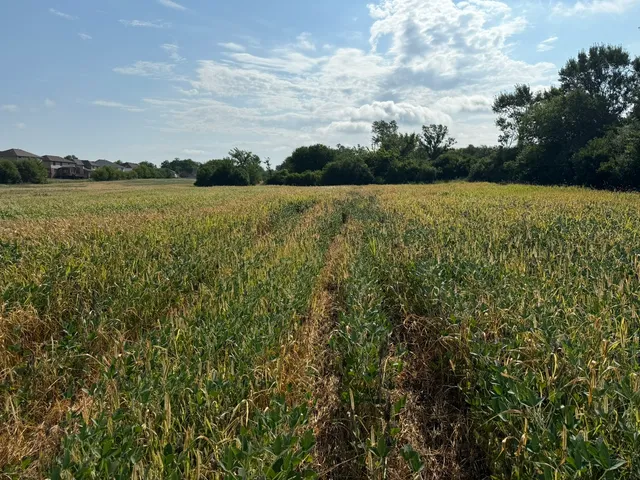 a view of a lake with houses in the back
