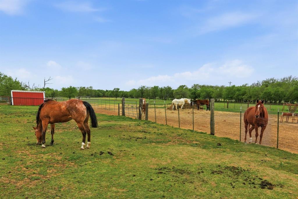 10965 Swafford Road Justin, TX 76247 - Photo 16 of 26 Beautiful pasture for your horses.