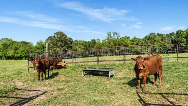 $1,249,000 | 2355 Jackson League Circle, Brenham, TX 77833