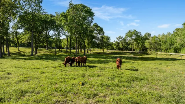 $1,249,000 | 2355 Jackson League Circle, Brenham, TX 77833