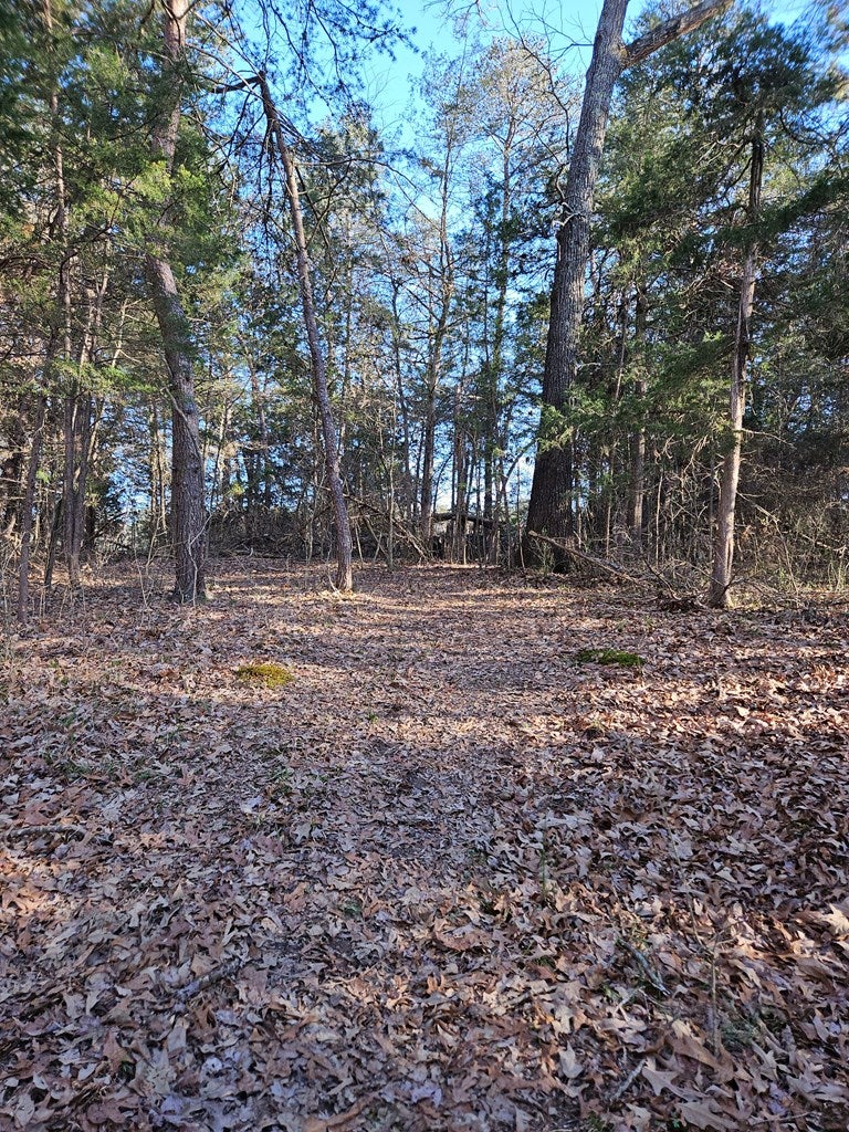 634 Salem Church Road Dillwyn, VA 23936 - Photo 9 of 36 Gallery Image 9