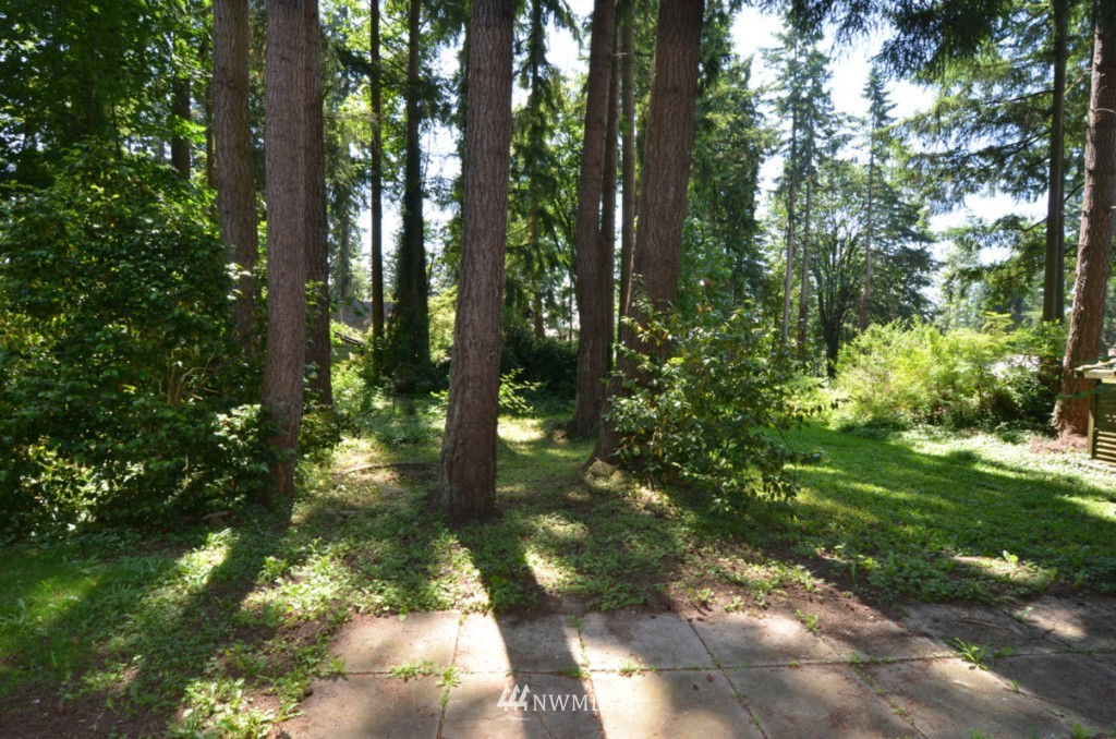 20411 Southeast 157th Street Renton, WA 98059 - Photo 9 of 10 Gallery Image 9