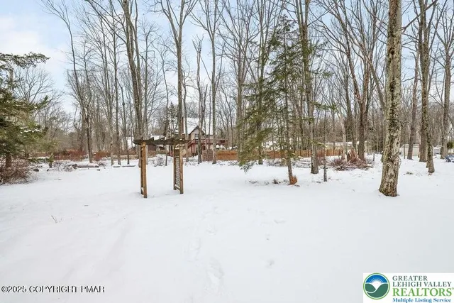 a view of a terrace with a tree