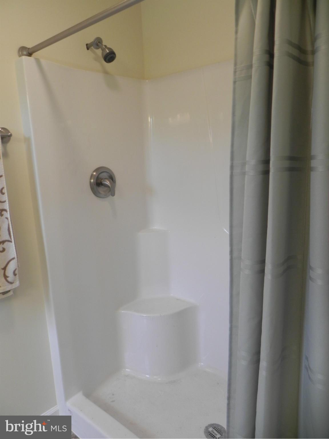 266 Bufflick Road Winchester, VA 22602 - Photo 16 of 30 Bath (Master)