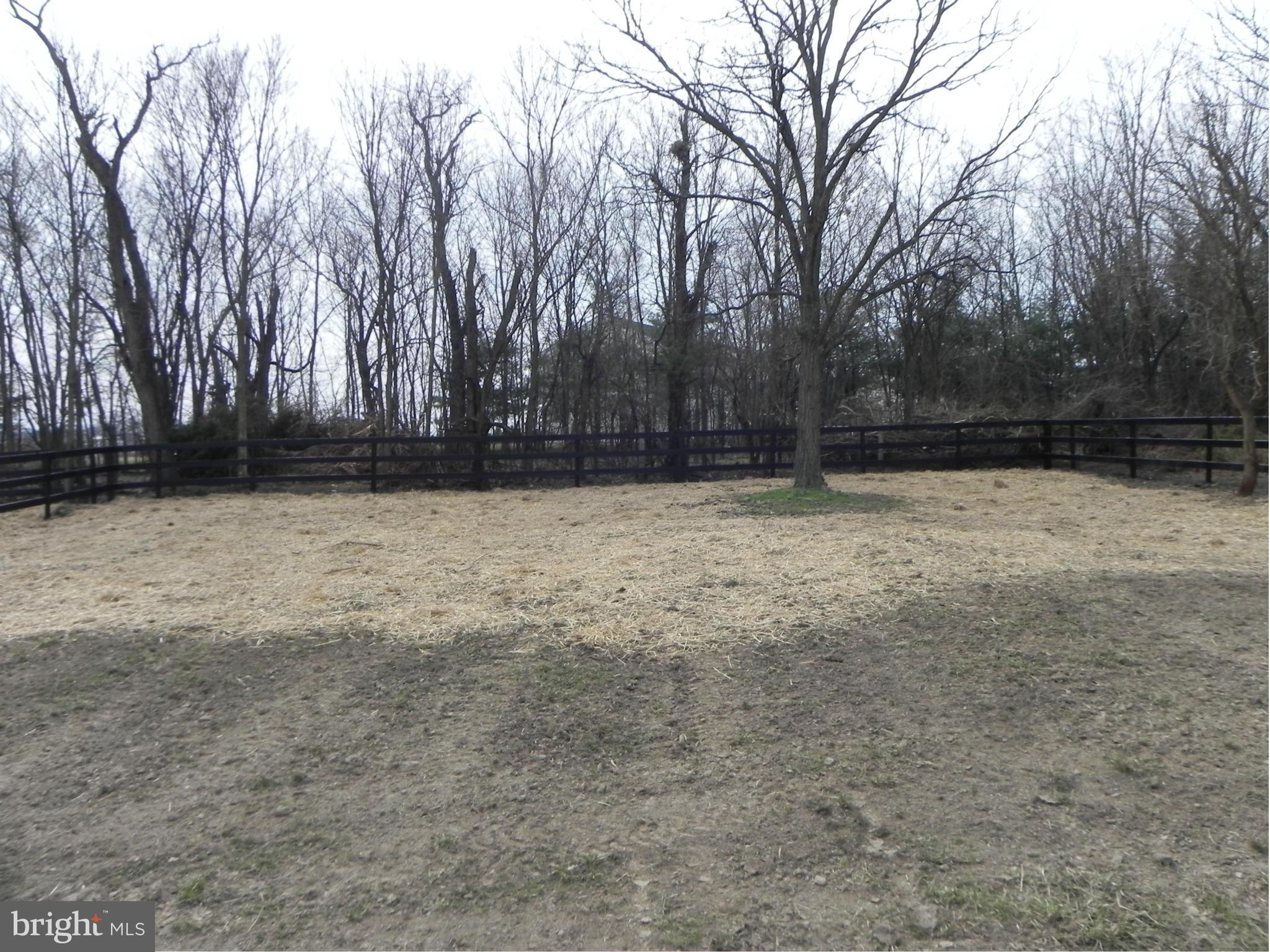 266 Bufflick Road Winchester, VA 22602 - Photo 30 of 30 Backyard