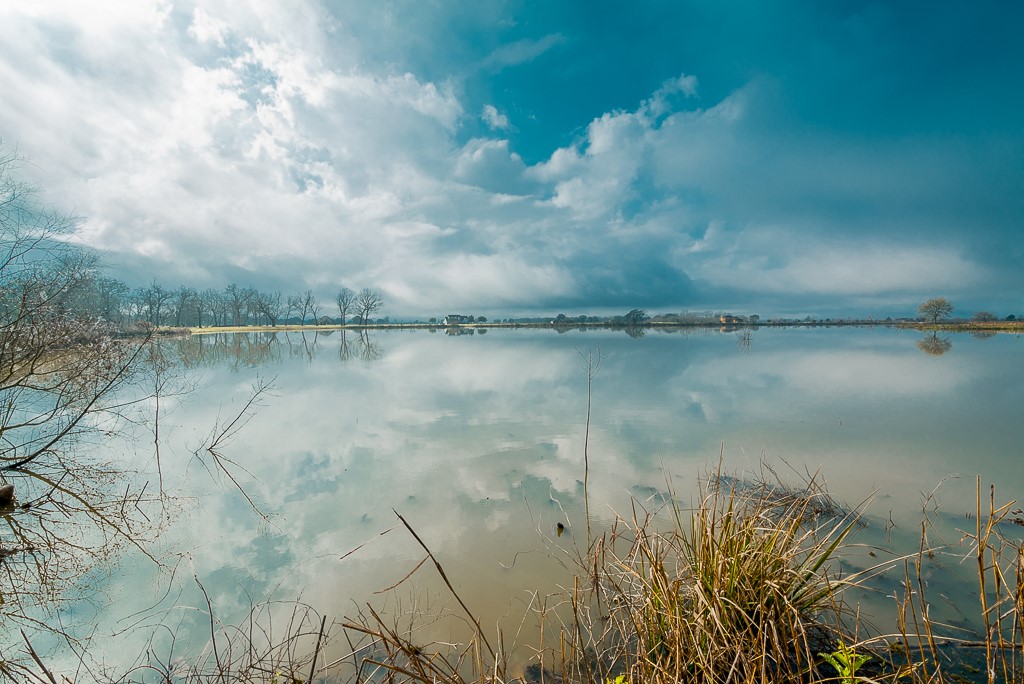 3611 Tankersley Circle Rosharon, TX 77583 - Photo 10 of 10 a view of a lake with a yard