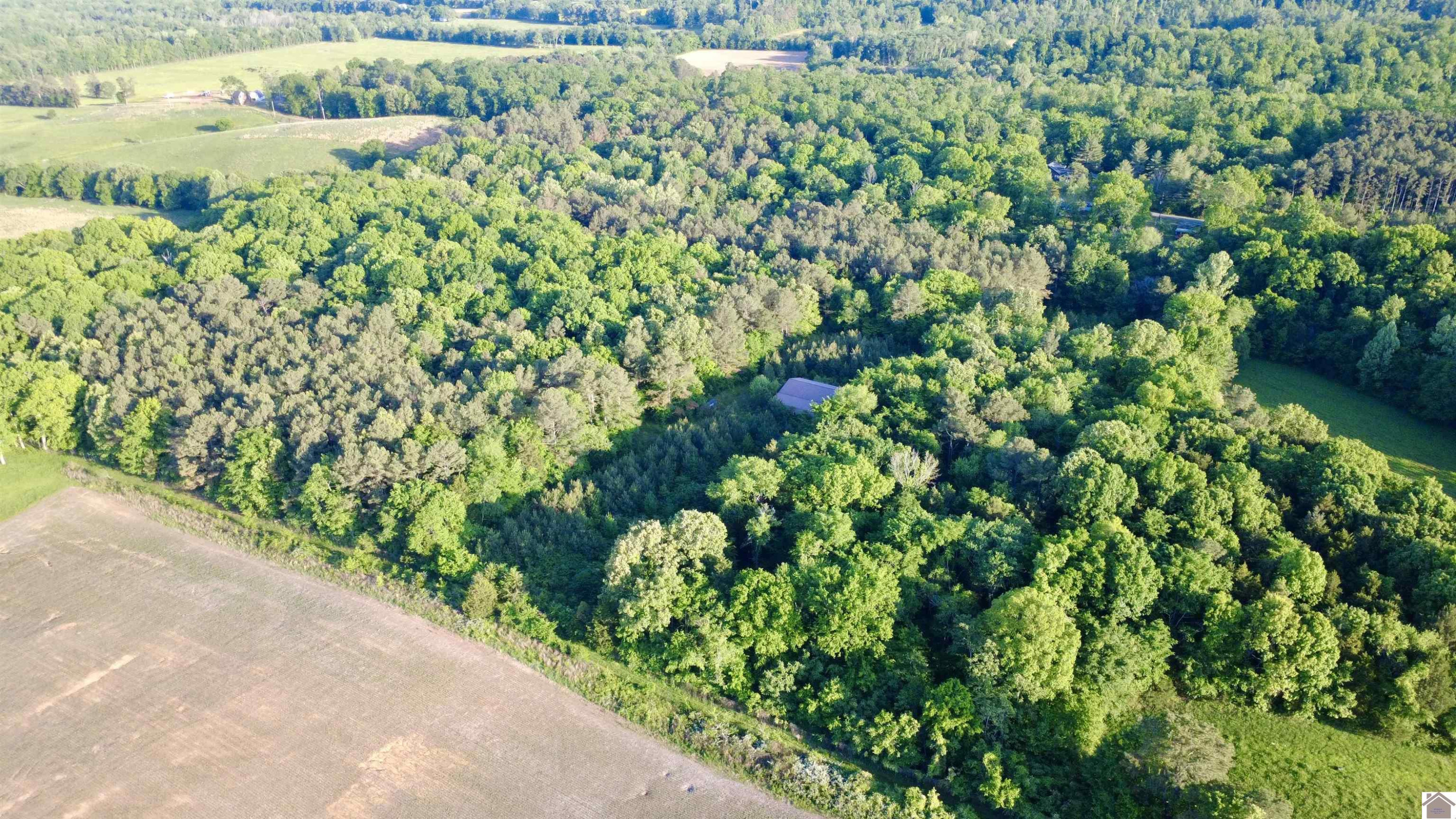 4436 Shoemaker Road Hazel, KY 42049 - Photo 27 of 30 Photo 28