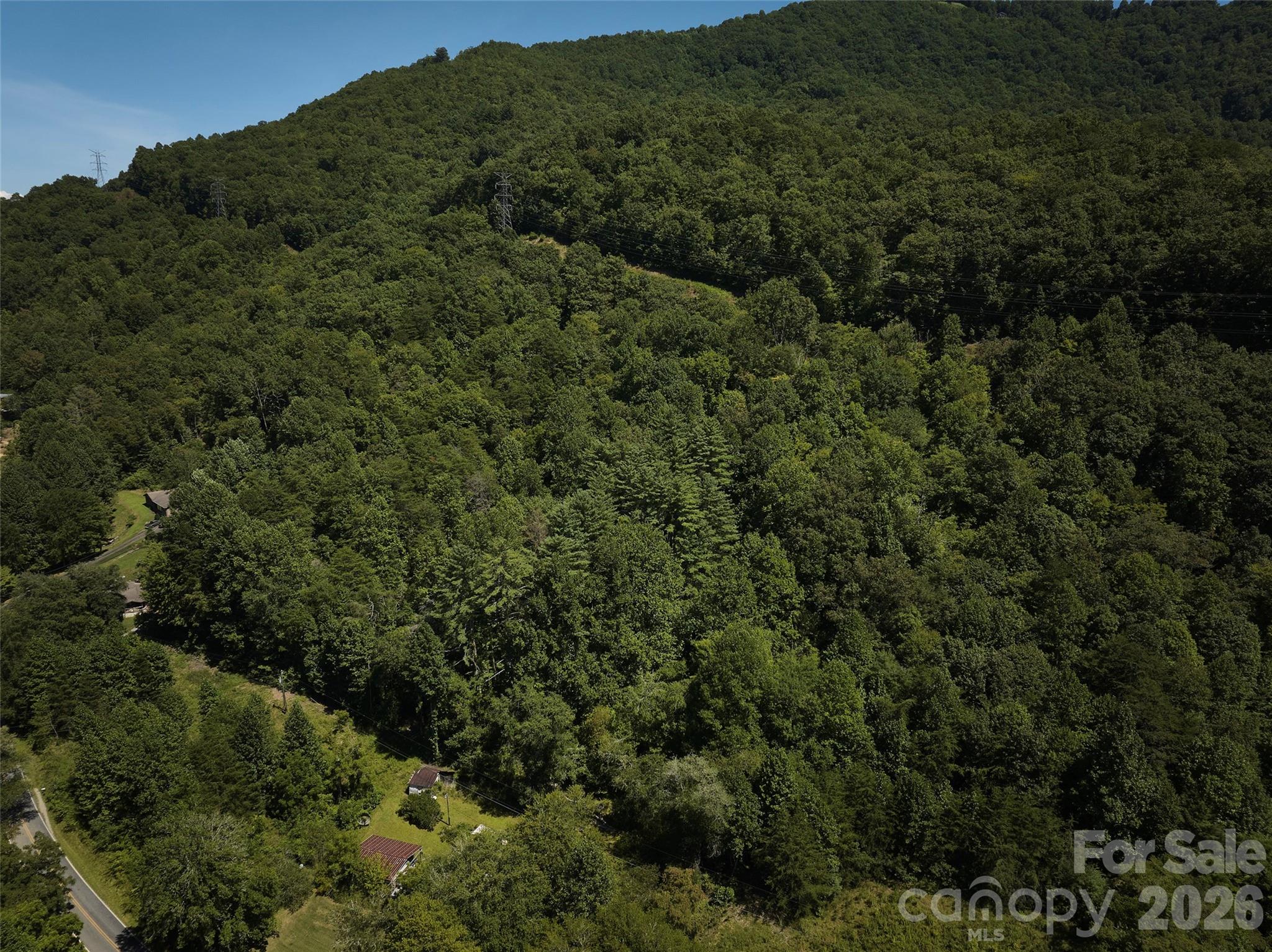 414 Brendle Road Bryson City, NC 28713 - Photo 6 of 21 Gallery Image 6