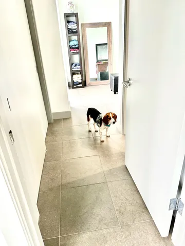 $3,850 | 111 Southeast 2nd Street, Unit 403, Delray Beach, FL 33444