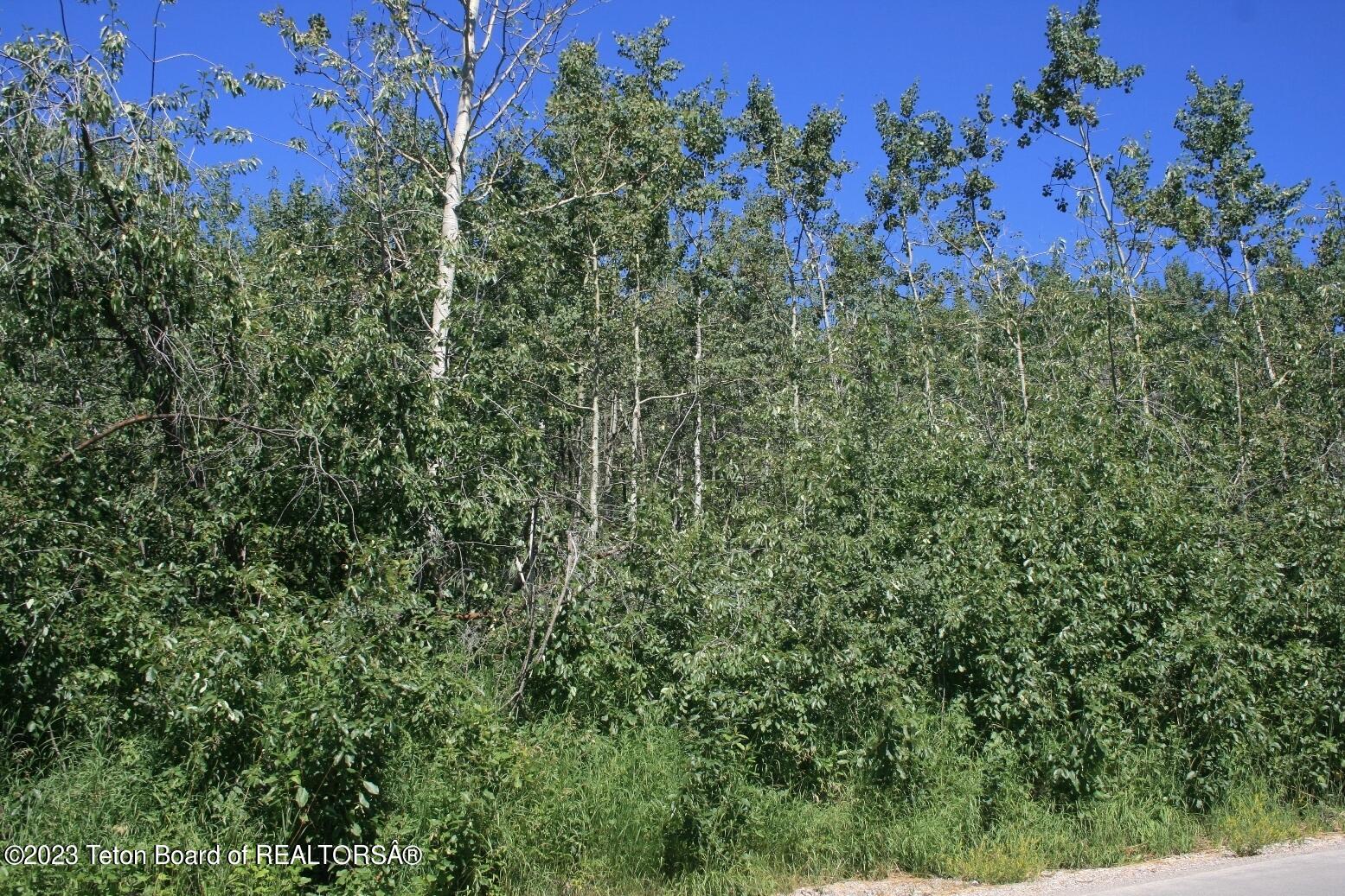 3 Svr Plat Star Valley Ranch, WY 83127 - Photo 1 of 1