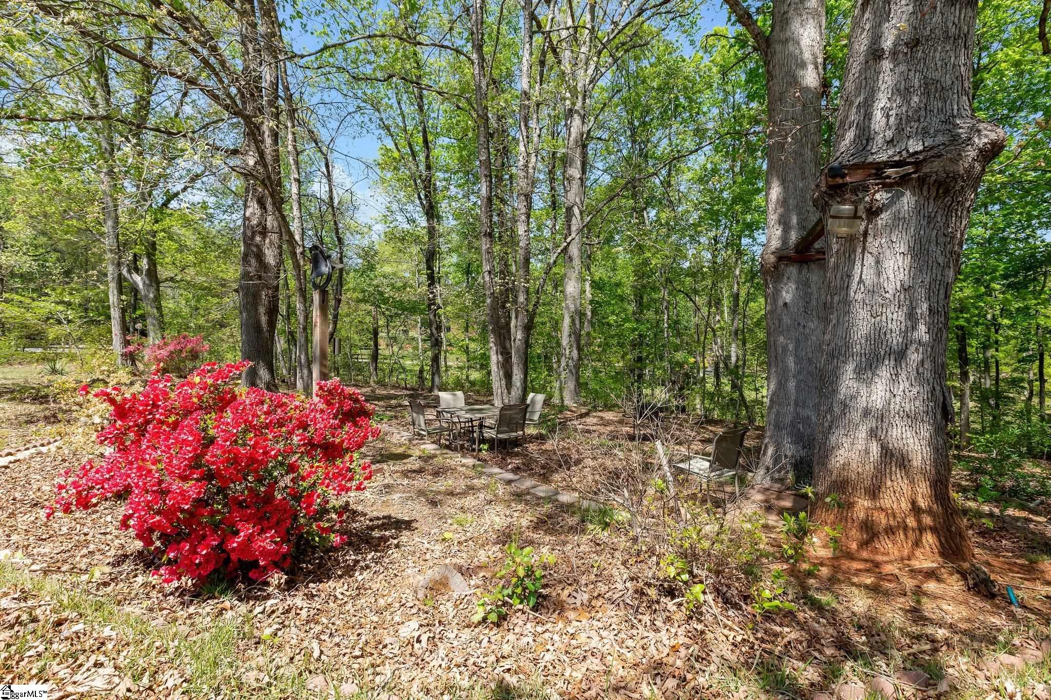 3107 State Park Road Greenville, SC 29609 - Photo 33 of 35