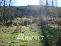 849 Lost Valley Road Curtis, WA 98538 - Photo 4 of 6