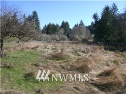 849 Lost Valley Road Curtis, WA 98538 - Photo 6 of 6