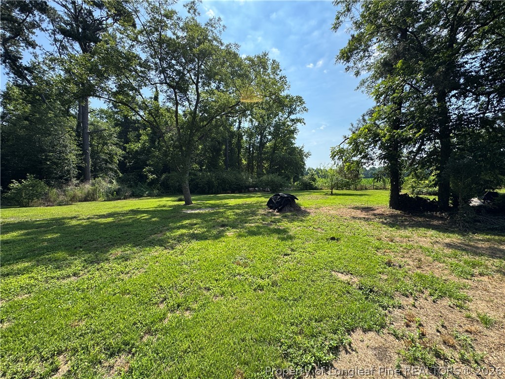 2737 Ward Store Road Fairmont, NC 28340 - Photo 38 of 48