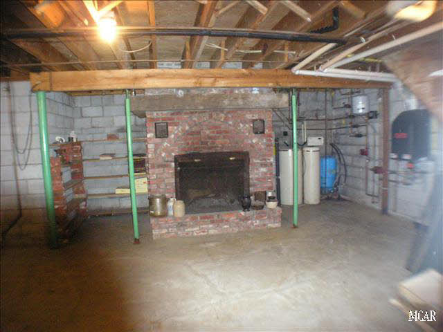 10010 West Albain Road Petersburg, MI 49270 - Photo 12 of 12 basement fireplace