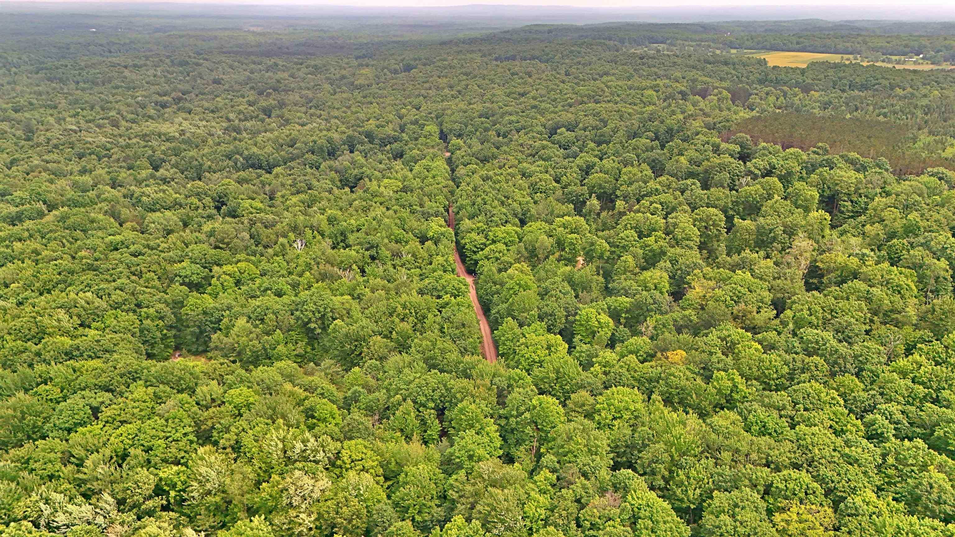 Vl 00 Cherry Hill Road Fife Lake, MI 49633 - Photo 17 of 26