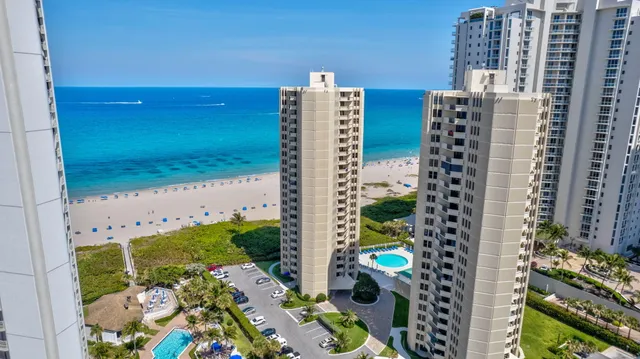 a view of a flower in a yard