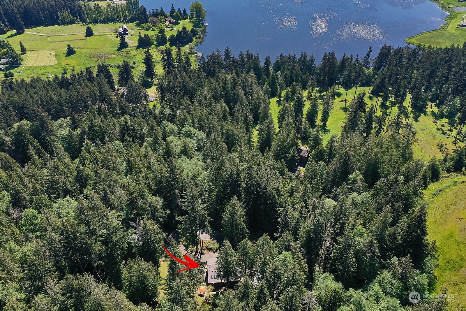 5120 Ribbit Road Langley, WA 98260 - Photo 39 of 40 a view of a bunch of trees and flowers