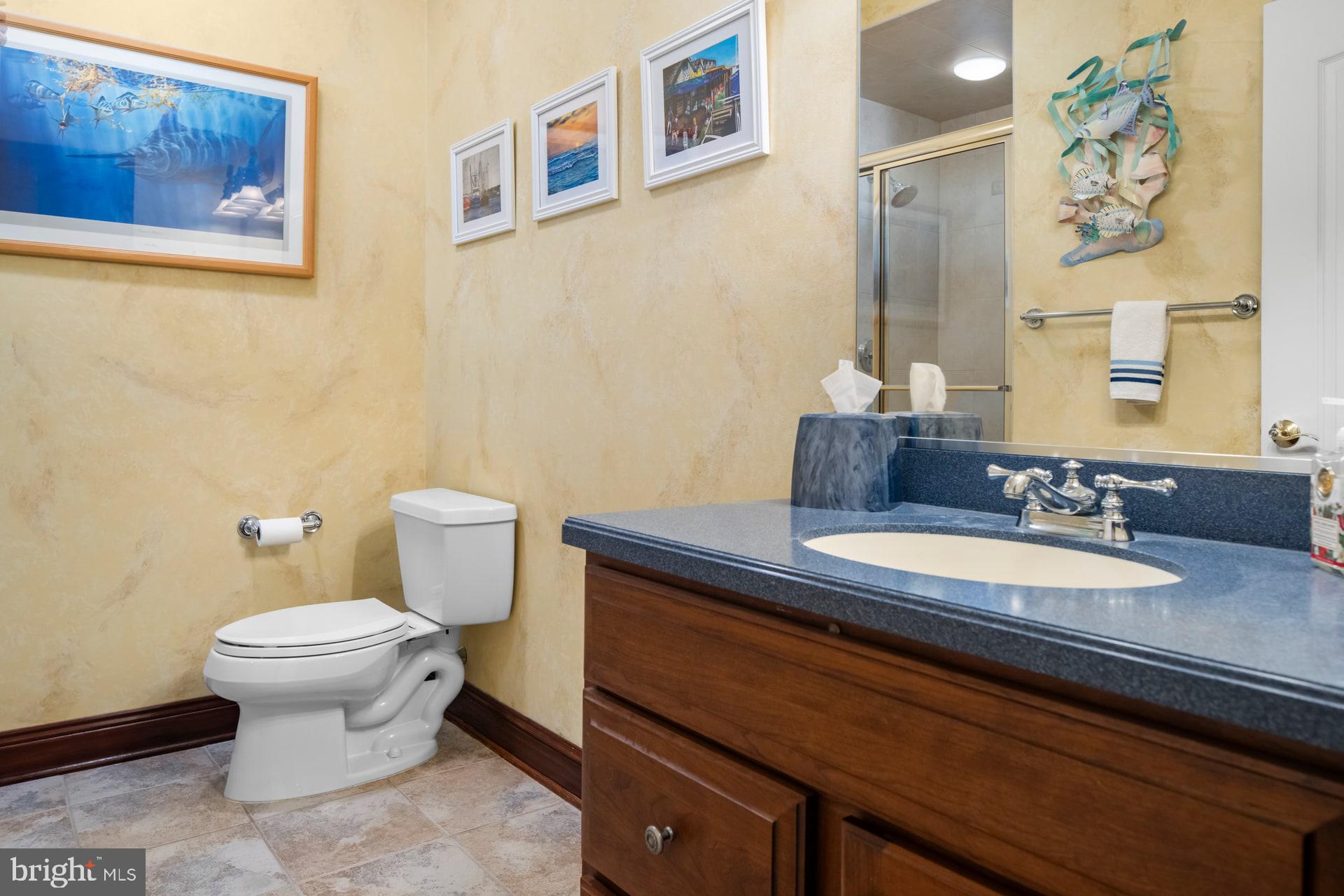 203 Wecks Pond Road New Hope, PA 18938 - Photo 43 of 59 Full Bath in Basement