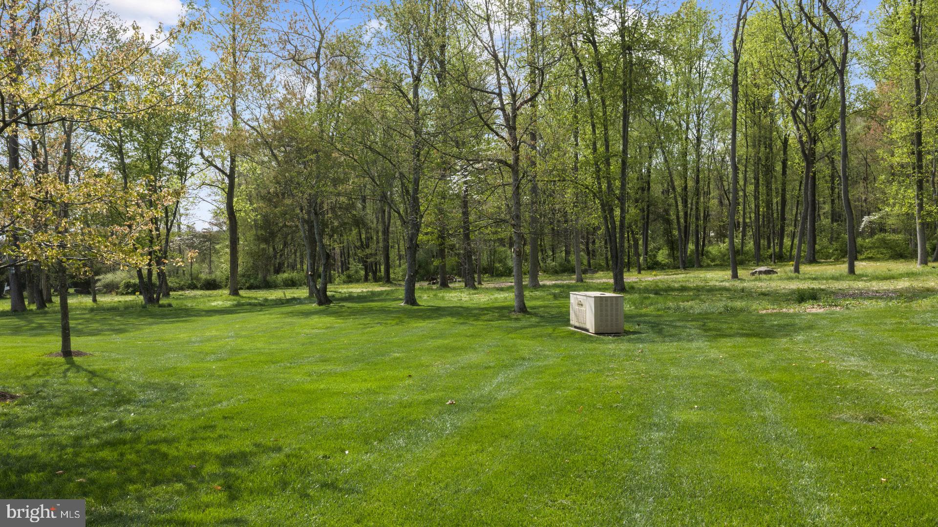 203 Wecks Pond Road New Hope, PA 18938 - Photo 58 of 59 View of Backyard