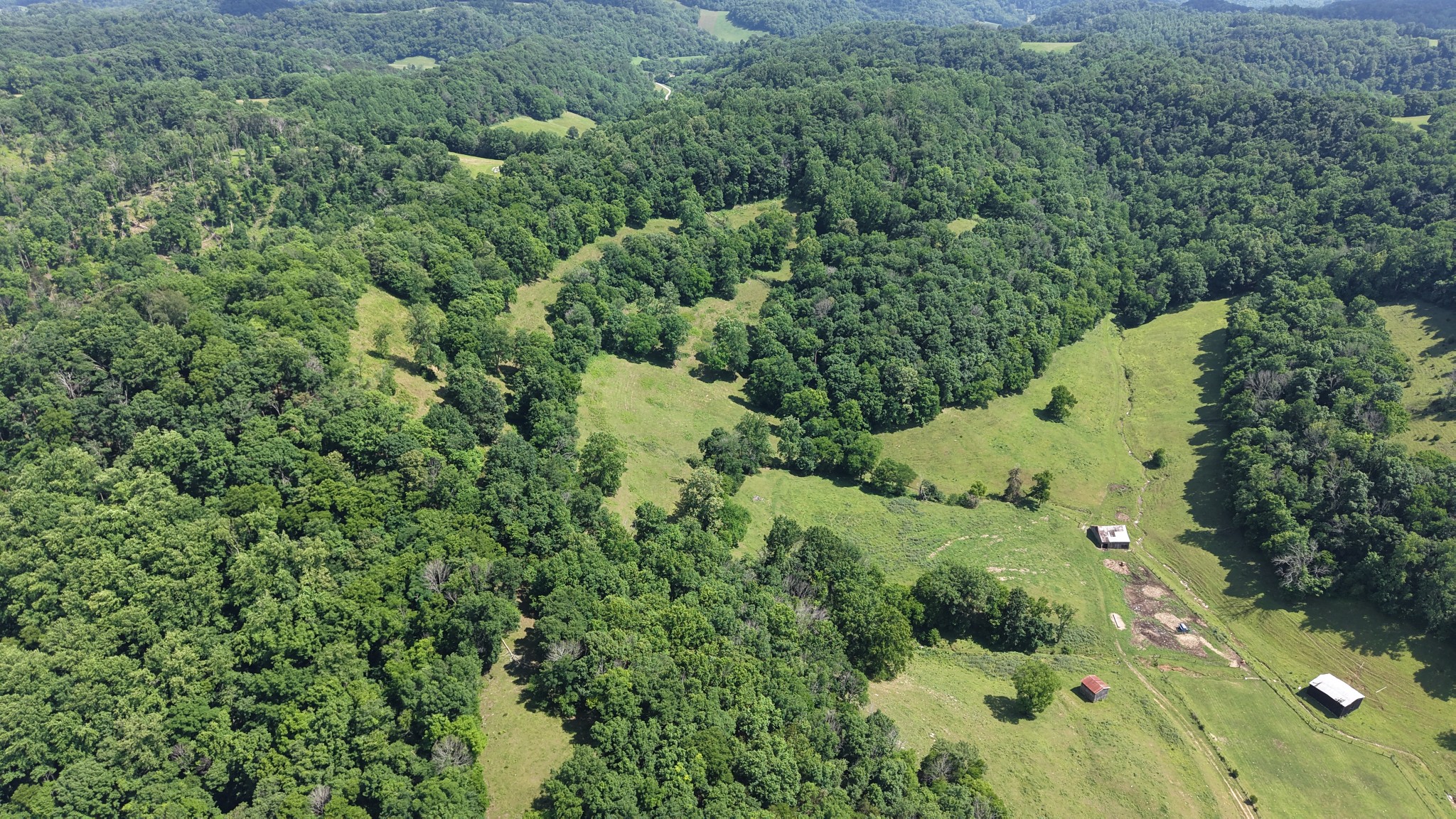 1358 Dry Branch Road Dixon Springs, TN 37057 - Photo 89 of 98