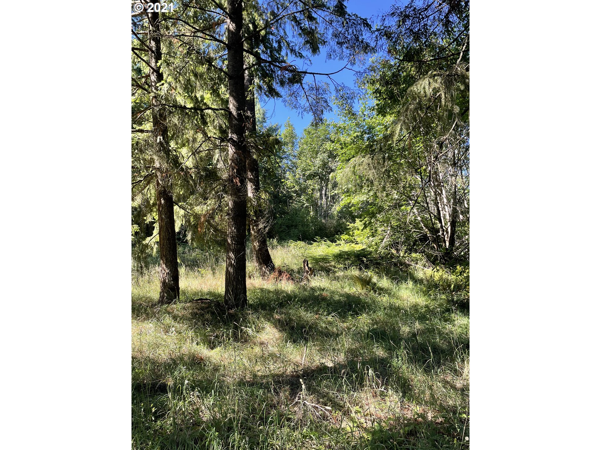 15383 South Graves Road Mulino, OR 97042 - Photo 28 of 32 Backyard