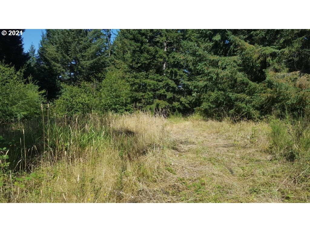 15383 South Graves Road Mulino, OR 97042 - Photo 29 of 32 Acreage