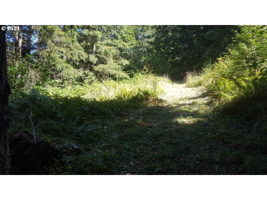 15383 South Graves Road Mulino, OR 97042 - Photo 31 of 32 Acreage