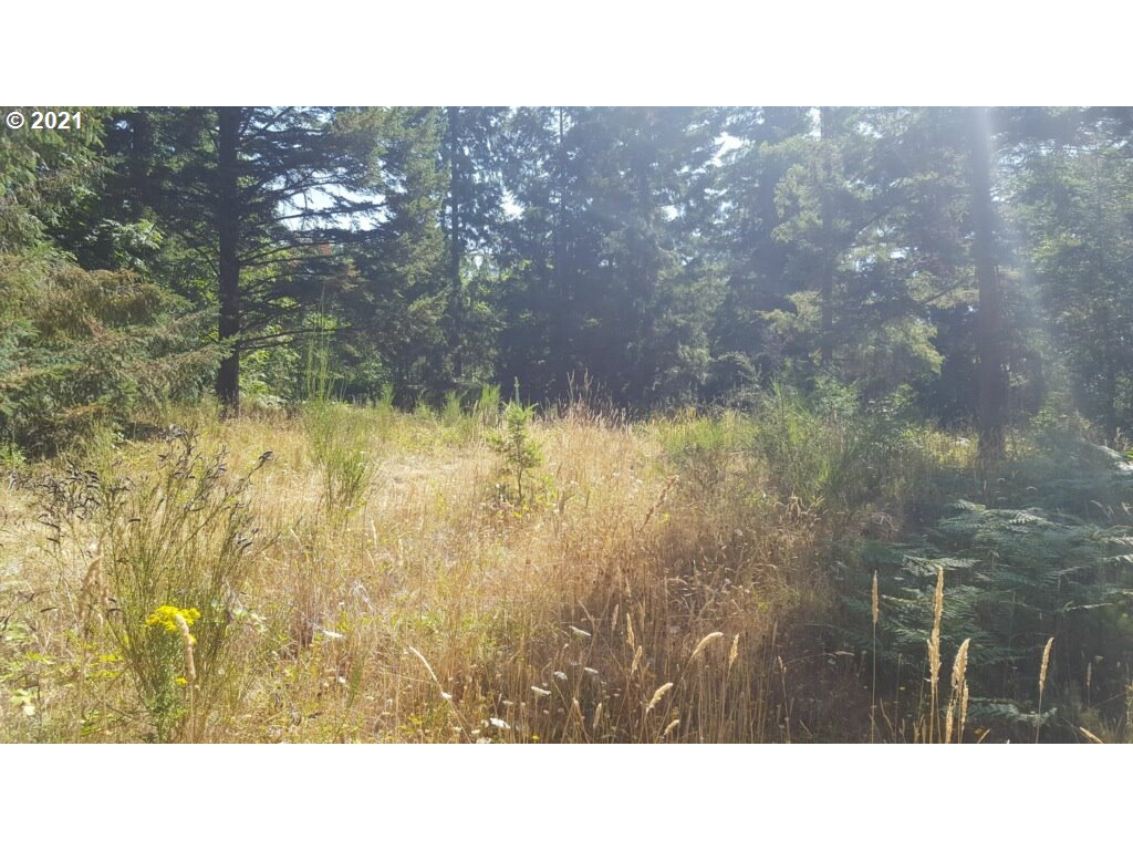 15383 South Graves Road Mulino, OR 97042 - Photo 32 of 32 Acreage