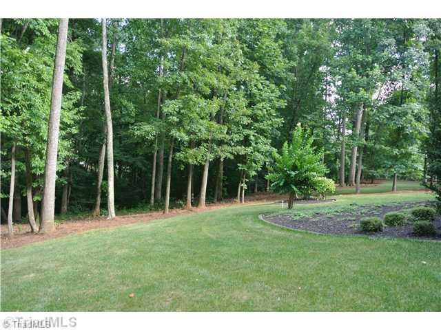 8522 Rosedale Drive Oak Ridge, NC 27310 - Photo 6 of 16 Land/Lot. Side yard.