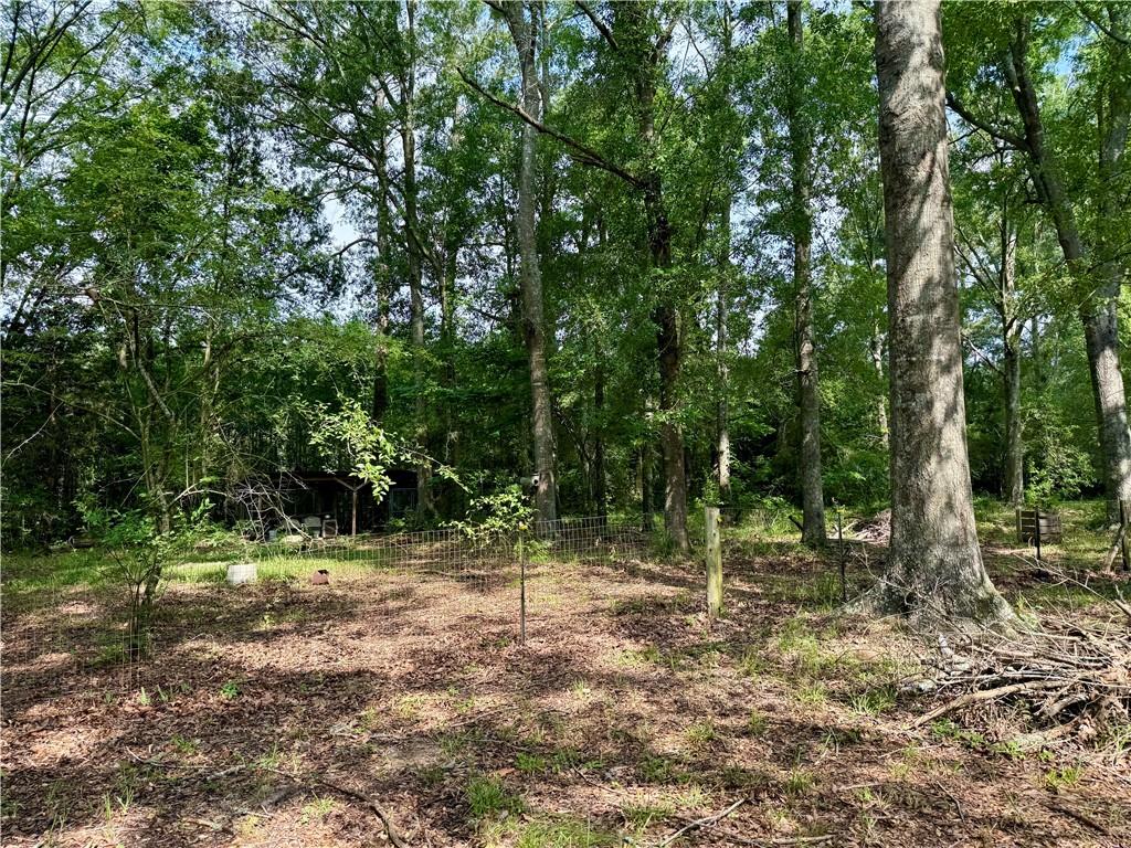 534 Friendship Road Robeline, LA 71469 - Photo 18 of 29 Gallery Image 18