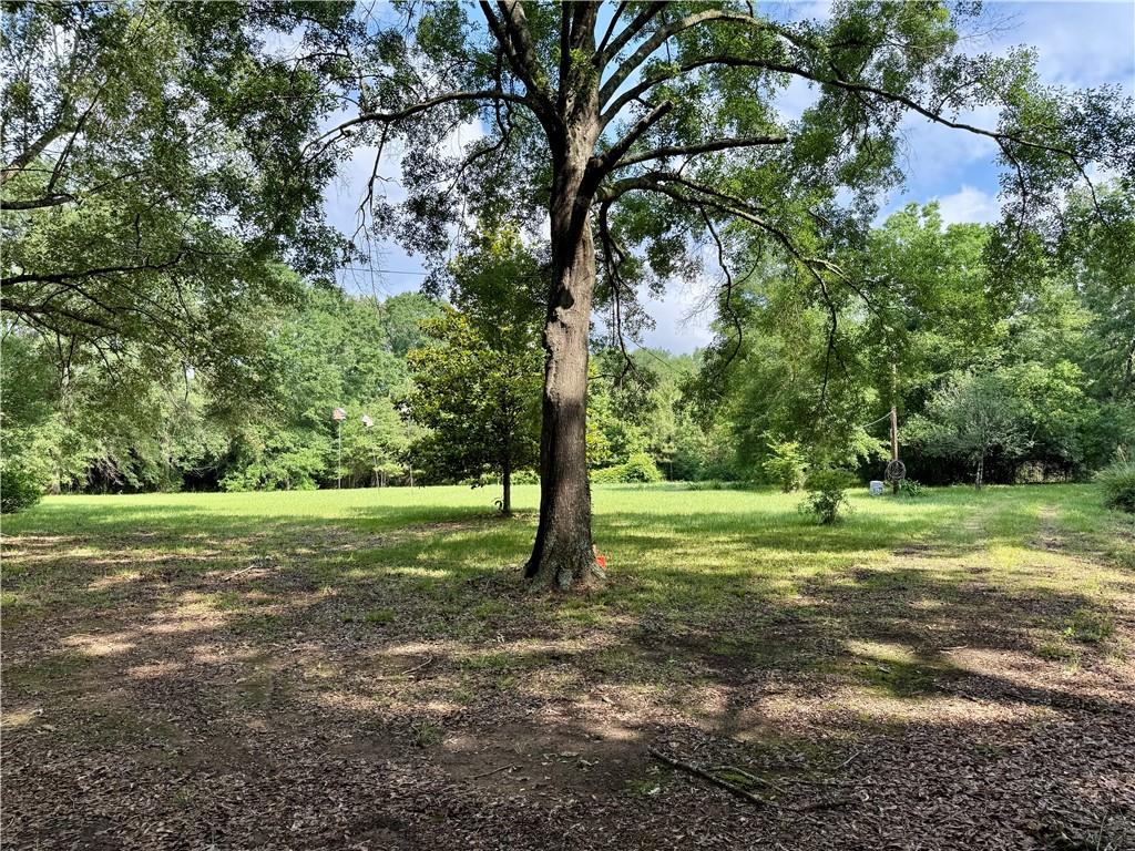 534 Friendship Road Robeline, LA 71469 - Photo 22 of 29 Gallery Image 22