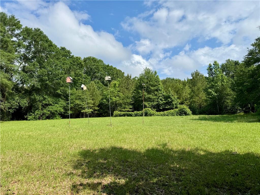534 Friendship Road Robeline, LA 71469 - Photo 23 of 29 Gallery Image 23