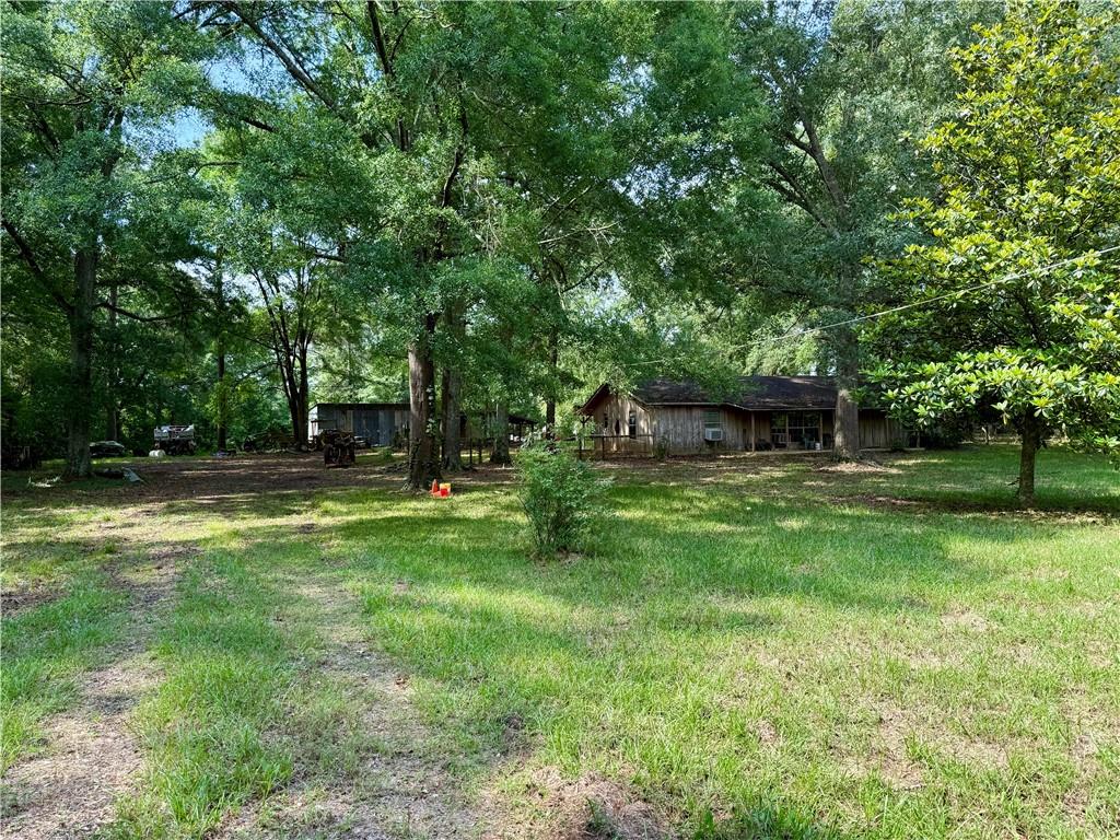 534 Friendship Road Robeline, LA 71469 - Photo 25 of 29 Gallery Image 25