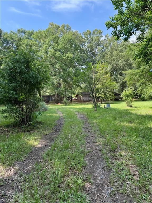 534 Friendship Road Robeline, LA 71469 - Photo 26 of 29 Gallery Image 26