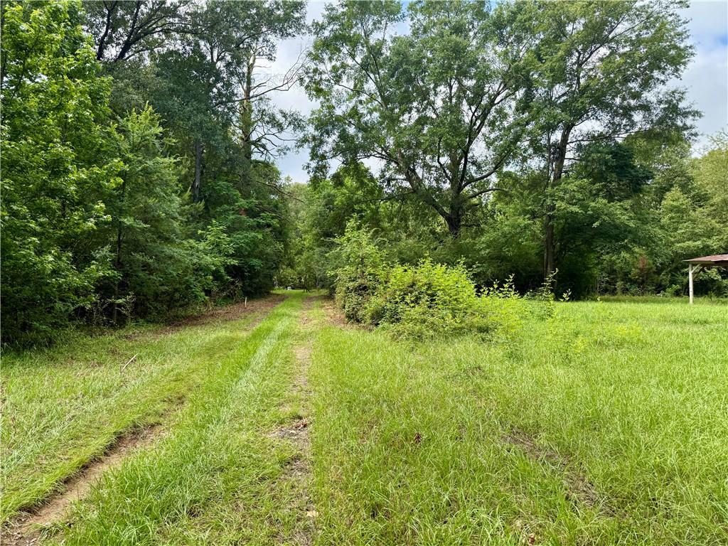 534 Friendship Road Robeline, LA 71469 - Photo 27 of 29 Gallery Image 27