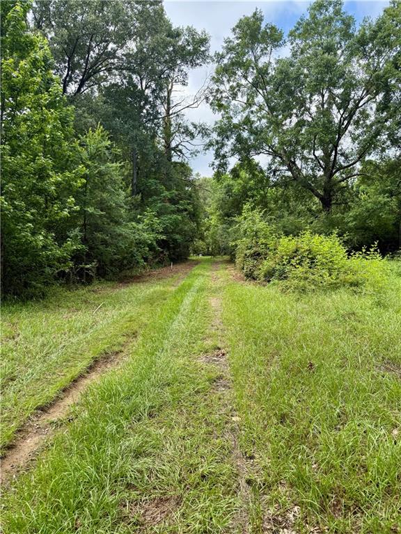 534 Friendship Road Robeline, LA 71469 - Photo 28 of 29 Gallery Image 28