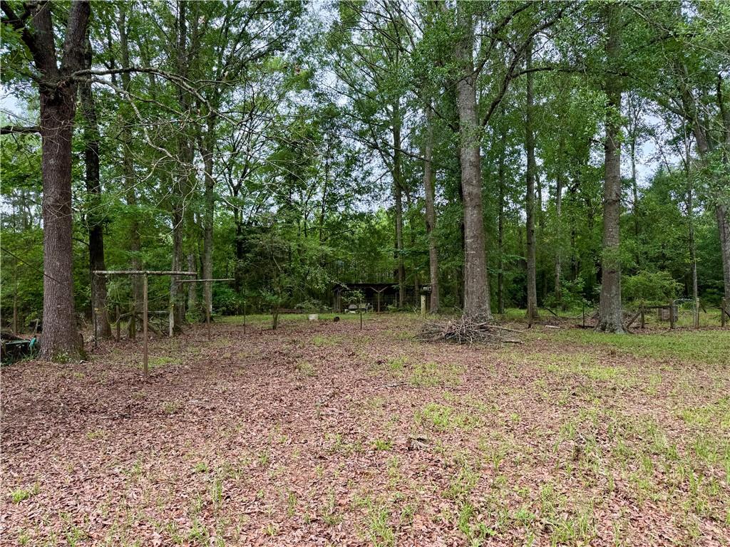 534 Friendship Road Robeline, LA 71469 - Photo 29 of 29 Gallery Image 29