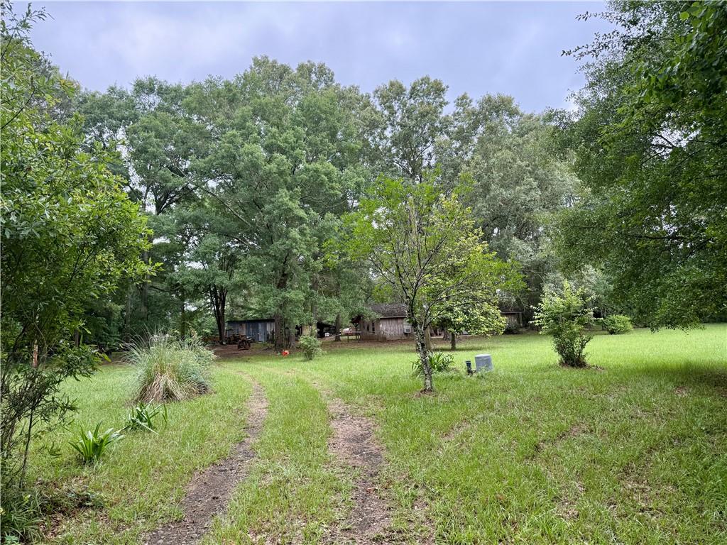 534 Friendship Road Robeline, LA 71469 - Photo 4 of 29 Gallery Image 4