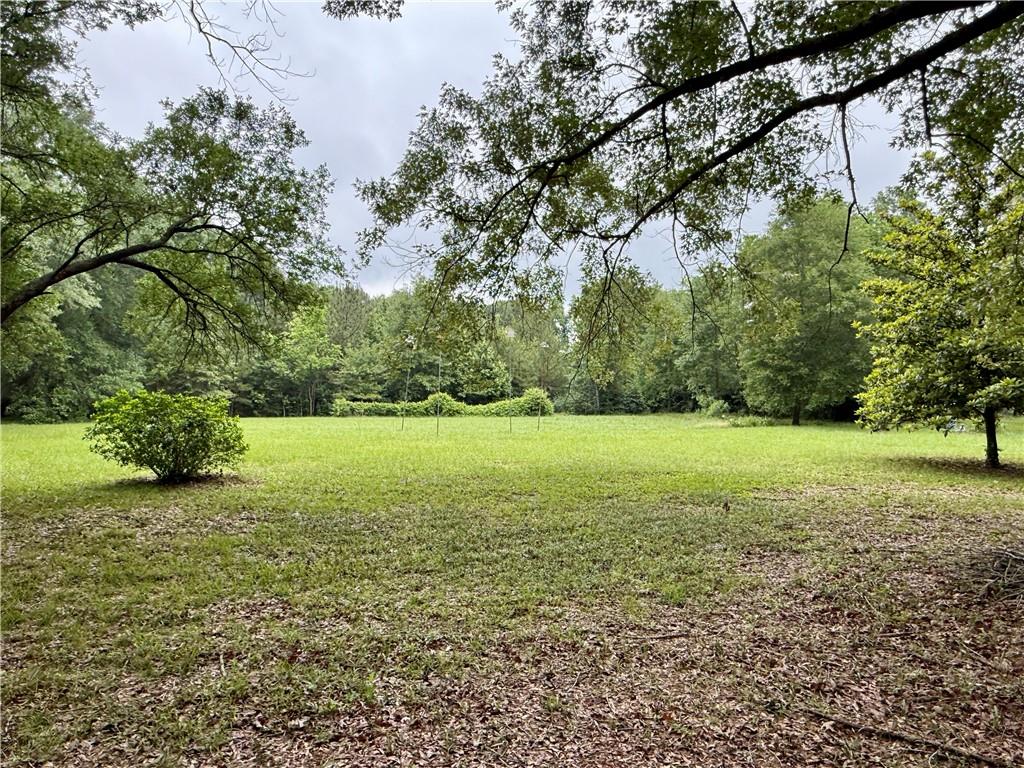 534 Friendship Road Robeline, LA 71469 - Photo 5 of 29 Gallery Image 5