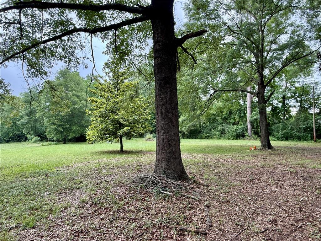 534 Friendship Road Robeline, LA 71469 - Photo 6 of 29 Gallery Image 6
