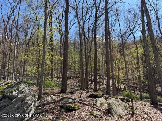 197 Radcliff Road Bushkill, PA 18324 - Photo 24 of 28 IMG_5247 (1)