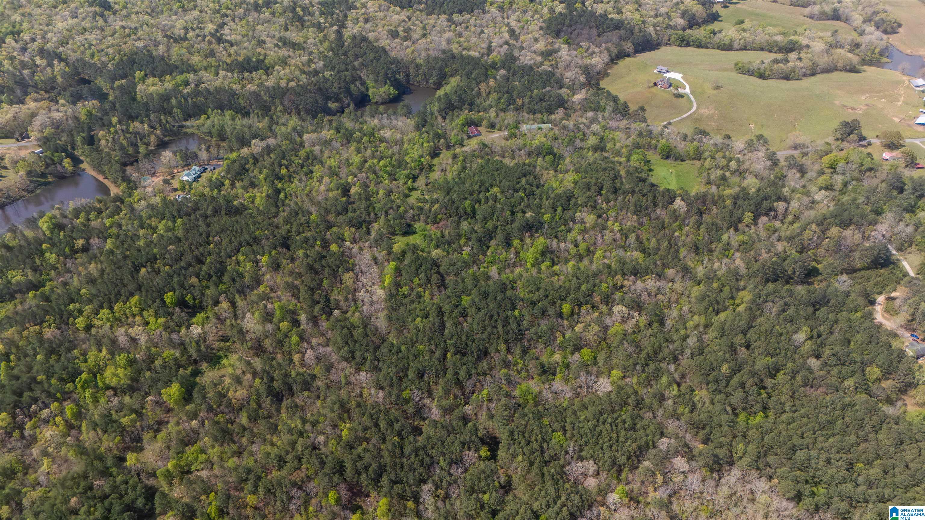 2121 Center Hill Road Trafford, AL 35172 - Photo 47 of 100