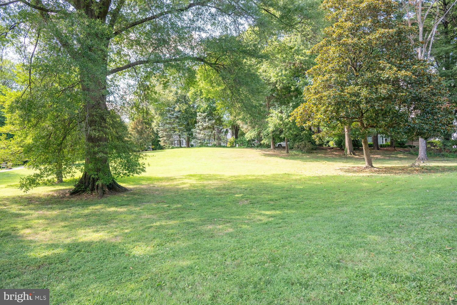 5804 Cedar Parkway Chevy Chase, MD 20815 - Photo 86 of 95