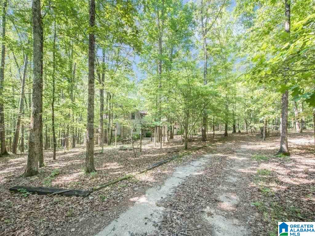 22461 Rosser Lane McCalla, AL 35111 - Photo 20 of 33